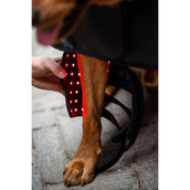 Horseware Pet Leg Wraps LED Red Light Therapy Pair Noir/Noir Horseware Pet Leg Wraps LED Red Light Therapy Pair Noir/Noir