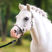 Imperial Riding Licol IRHRebel Gris Imperial Riding Licol IRHRebel Gris