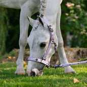 Imperial Riding Licol IRHRebel Wisteria Imperial Riding Licol IRHRebel Wisteria