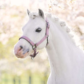 Imperial Riding Licol IRHRebel Ballerina Imperial Riding Licol IRHRebel Ballerina