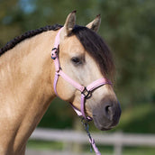 Imperial Riding Licol IRHSparkle Ballerina Imperial Riding Licol IRHSparkle Ballerina