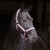 Imperial Riding Licol IRHRebel Ballerina Imperial Riding Licol IRHRebel Ballerina