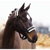 Imperial Riding Licol IRHJewel Noir Imperial Riding Licol IRHJewel Noir