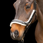 Imperial Riding Licol IRHLuxury Noir Imperial Riding Licol IRHLuxury Noir