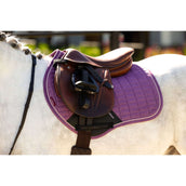 LeMieux Tapis de Selle Mini Suede Close Contact Square de Saut Mallow LeMieux Tapis de Selle Mini Suede Close Contact Square de Saut Mallow