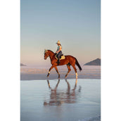 LeMieux Base Layer Classique Manches Courtes Macaron LeMieux Base Layer Classique Manches Courtes Macaron