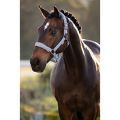 LeMieux Licol Essence Powder Blue LeMieux Licol Essence Powder Blue