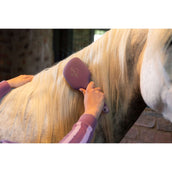 LeMieux Brosse pour crinière et queue Tangle Tidy Mallow LeMieux Brosse pour crinière et queue Tangle Tidy Mallow