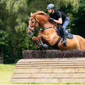 Kavalkade Collier de Chasse Jerome 2-Points Noir Kavalkade Collier de Chasse Jerome 2-Points Noir