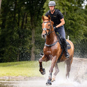 Kavalkade Collier de Chasse Jerome 2-Points Marron Kavalkade Collier de Chasse Jerome 2-Points Marron