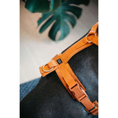 Kentucky Harnais Active velours Orange Kentucky Harnais Active velours Orange