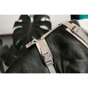 Kentucky Harnais Active velours Beige Kentucky Harnais Active velours Beige