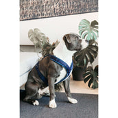 Kentucky Harnais Active velours Marin Kentucky Harnais Active velours Marin