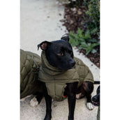 Kentucky Couverture pour Chien Winter Pina 160g Pine Green Kentucky Couverture pour Chien Winter Pina 160g Pine Green