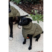 Kentucky Couverture pour Chien Winter Pina 160g Pine Green Kentucky Couverture pour Chien Winter Pina 160g Pine Green