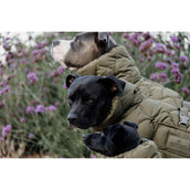 Kentucky Couverture pour Chien Winter Pina 160g Pine Green Kentucky Couverture pour Chien Winter Pina 160g Pine Green