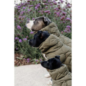 Kentucky Couverture pour Chien Winter Pina 160g Pine Green Kentucky Couverture pour Chien Winter Pina 160g Pine Green