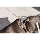 Kentucky Collier Teddy Fleece Rose Vieux Kentucky Collier Teddy Fleece Rose Vieux