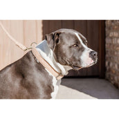 Kentucky Collier Teddy Fleece Rose Vieux Kentucky Collier Teddy Fleece Rose Vieux