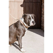 Kentucky Collier Teddy Fleece Rose Vieux Kentucky Collier Teddy Fleece Rose Vieux