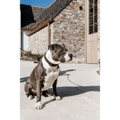 Kentucky Collier Teddy Fleece Pine Green Kentucky Collier Teddy Fleece Pine Green