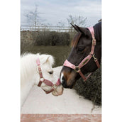 Kentucky Horsewear Licol Velvet Glitter Unicorn Rose Vieux Kentucky Horsewear Licol Velvet Glitter Unicorn Rose Vieux