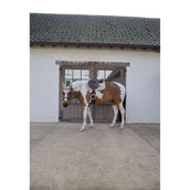 Kentucky Horsewear Tapis de Selle Softshell Onion Quilt de Saut Beige/Vieux Rose Kentucky Horsewear Tapis de Selle Softshell Onion Quilt de Saut Beige/Vieux Rose