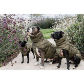 Kentucky Couverture pour Chien Winter Pina 160g Pine Green Kentucky Couverture pour Chien Winter Pina 160g Pine Green