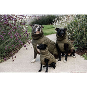 Kentucky Couverture pour Chien Winter Pina 160g Pine Green Kentucky Couverture pour Chien Winter Pina 160g Pine Green