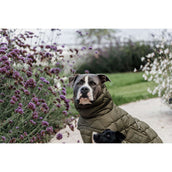 Kentucky Couverture pour Chien Winter Pina 160g Pine Green Kentucky Couverture pour Chien Winter Pina 160g Pine Green