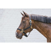 Kentucky Licol Nylon Breakaway Noir Kentucky Licol Nylon Breakaway Noir