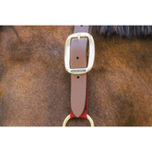 Kentucky Licol Nylon Breakaway Bordeaux Kentucky Licol Nylon Breakaway Bordeaux