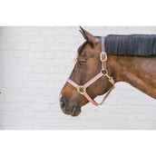 Kentucky Licol Nylon Breakaway Rose Vieux Kentucky Licol Nylon Breakaway Rose Vieux