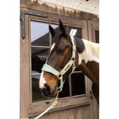 Kentucky Licol Velvet Menthe Kentucky Licol Velvet Menthe