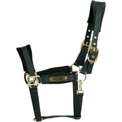 Kentucky Licol Velvet Pine Green Kentucky Licol Velvet Pine Green