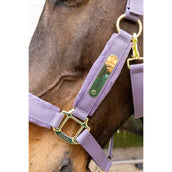 Kentucky Licol Velvet Violet Kentucky Licol Velvet Violet