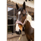 Kentucky Licol Velvet Lilas Kentucky Licol Velvet Lilas