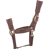 Kentucky Licol Velvet Lilas Kentucky Licol Velvet Lilas