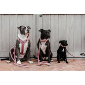 Kentucky Harnais Teddy Fleece Rose Vieux Kentucky Harnais Teddy Fleece Rose Vieux