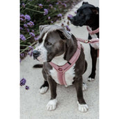 Kentucky Harnais Teddy Fleece Rose Vieux Kentucky Harnais Teddy Fleece Rose Vieux