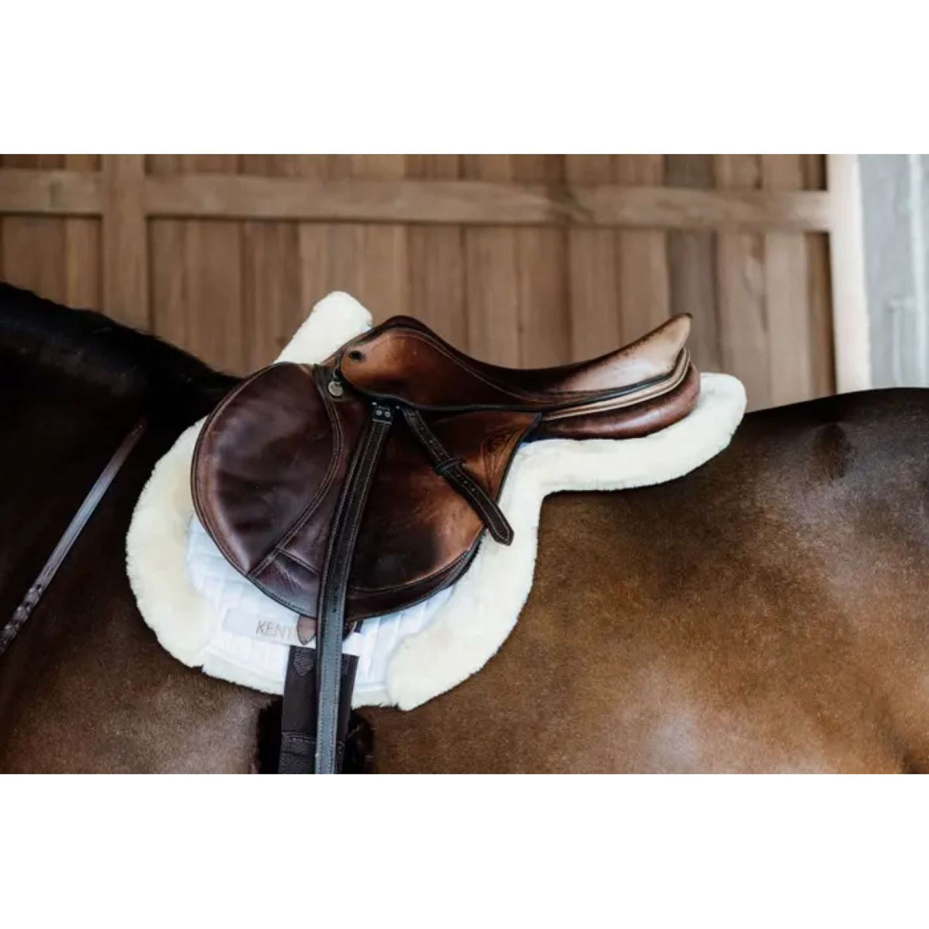 Kentucky Horsewear Tapis de Selle Diamond Competiton de Saut Noir Kentucky Horsewear Tapis de Selle Diamond Competiton de Saut Noir