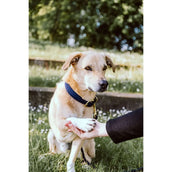 Kentucky Collier Plaited Nylon Marin Kentucky Collier Plaited Nylon Marin