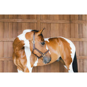 Kentucky Licol en Cuir Wellington Marron Kentucky Licol en Cuir Wellington Marron