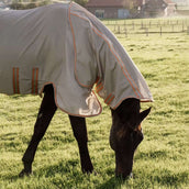 Kentucky Horsewear Couverture Anti-Mouches Comfort Mesh Beige/Orange Kentucky Horsewear Couverture Anti-Mouches Comfort Mesh Beige/Orange