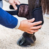 Kentucky Horsewear Eventing Boots 3D Air Flow Skin Friendly Short Hind Noir Kentucky Horsewear Eventing Boots 3D Air Flow Skin Friendly Short Hind Noir