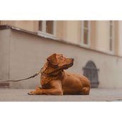 Kentucky Collier Plaited Nylon Beige Kentucky Collier Plaited Nylon Beige