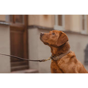 Kentucky Collier Plaited Nylon Beige Kentucky Collier Plaited Nylon Beige