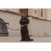 Kentucky Collier Plaited Nylon Beige Kentucky Collier Plaited Nylon Beige