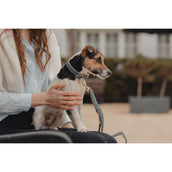 Kentucky Collier pour Chien Soft Vegan Leather Marin/Beige Kentucky Collier pour Chien Soft Vegan Leather Marin/Beige