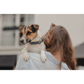 Kentucky Collier pour Chien Soft Vegan Leather Marin/Beige Kentucky Collier pour Chien Soft Vegan Leather Marin/Beige